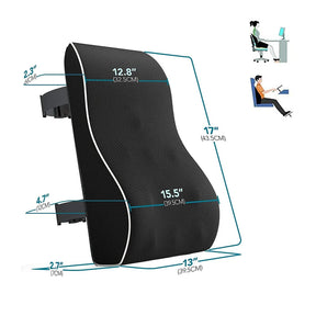 Lumbar Support